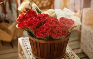 花點時間 上線兩年用戶破500萬，B輪融資引領禮品花卉銷售新潮流